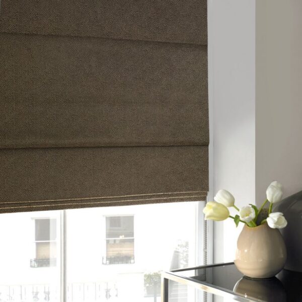592009 Roman Blind