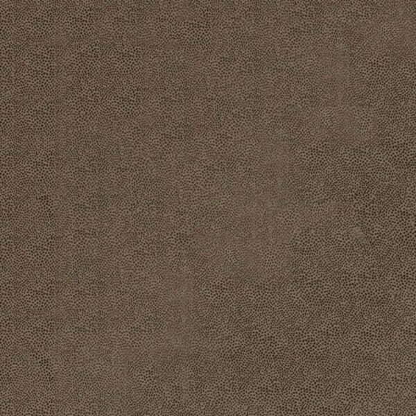 592009 Roman Blind