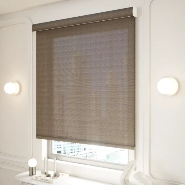 Sunscreen Roller Blinds - Brown - Image 2