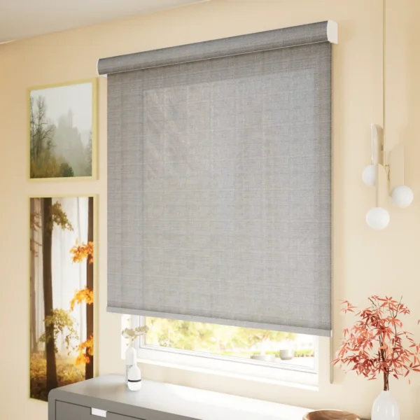 Sunscreen Roller Blinds - Silver - Image 2