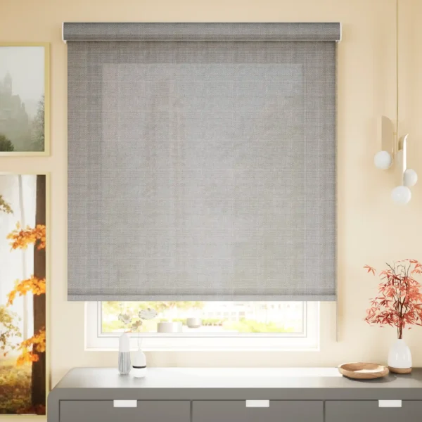 Sunscreen Roller Blinds - Silver